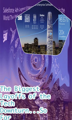 Biggest software companies