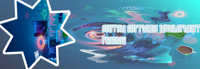 Custom web software development