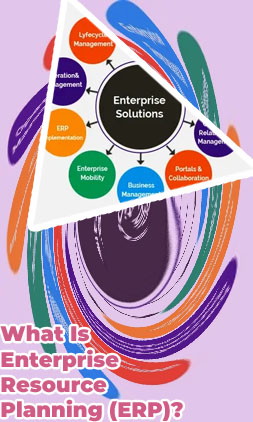Enterprise software solutions