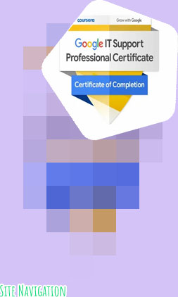 Google it support professional
