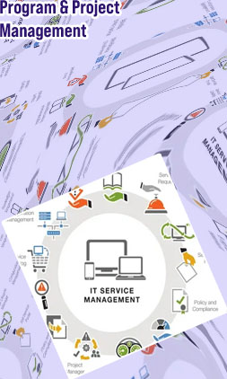 It project management services