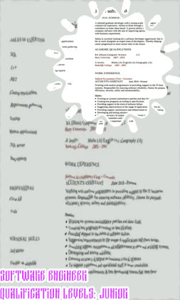 Jr software engineer