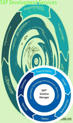 Sap software development company