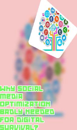 Social media optimization agency