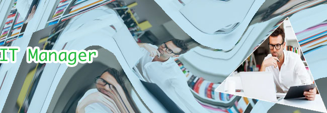 The it manager