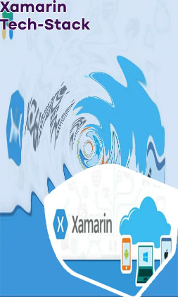Xamarin development company
